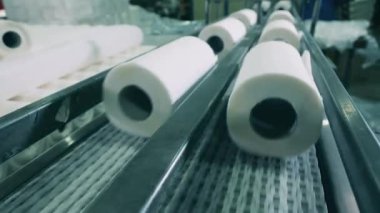 Kağıt ruloları bir kağıt fabrikasında taşıyıcı bant boyunca hareket ediyor.