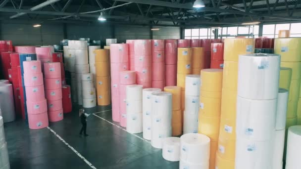 Жінка-працівник оглядає масивний склад з великими паперовими рулонами — стокове відео