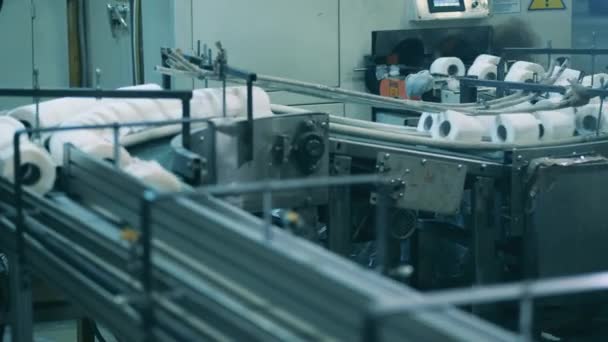Modern bir kağıt fabrikasında tuvalet kağıdı üretim süreci — Stok video