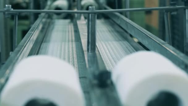 Primer plano de papel higiénico moviéndose a lo largo del transportador en una planta de papel — Vídeos de Stock