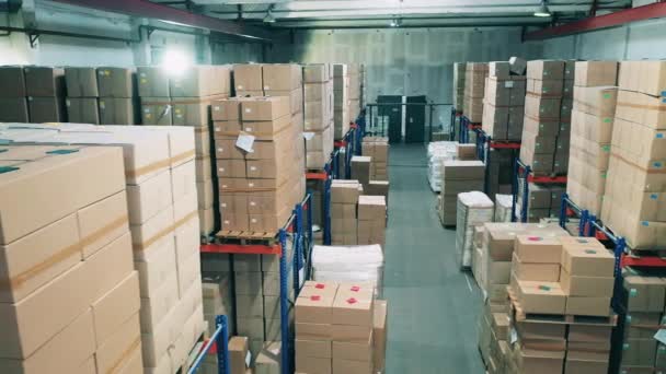 Gran almacén lleno de cajas de cartón — Vídeos de Stock