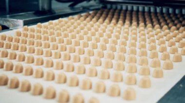 Taşıyıcı makine şeker yapıyor. Şekerli fabrika taşıyıcısı.