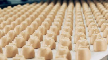 Taze yapılmış şekerler konveyör boyunca ilerliyor.