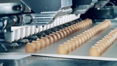 Taşıyıcı makine şeker yapıyor. Şekerli, şekerli üretim hattı.