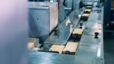 Fabrika makineleri waffle çubuklarını toplu halde taşıyor. Waffle 'lı üretim hattı.