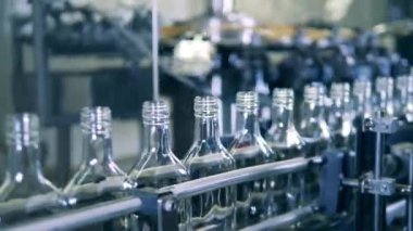 Cam şişeler metal konveyör boyunca yavaşça hareket ediyor.