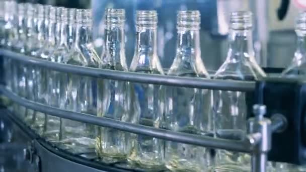 Transportador de metal com garrafas de vidro vazias passando por ele — Vídeo de Stock