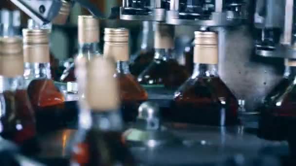 Заводской конвейер запечатывает крышки на бутылках с ликером — стоковое видео