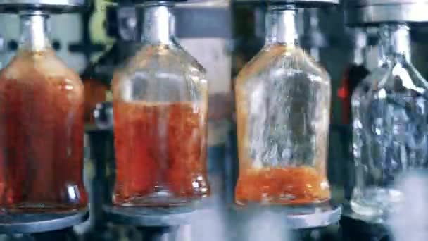 Minuman keras dituangkan ke dalam botol kaca oleh konveyor — Stok Video