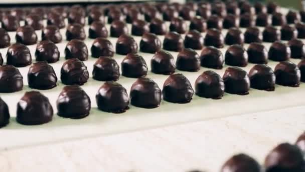 Lotes de caramelos de chocolate están siendo reubicados por la maquinaria. Línea de producción con caramelos, dulces. — Vídeo de stock
