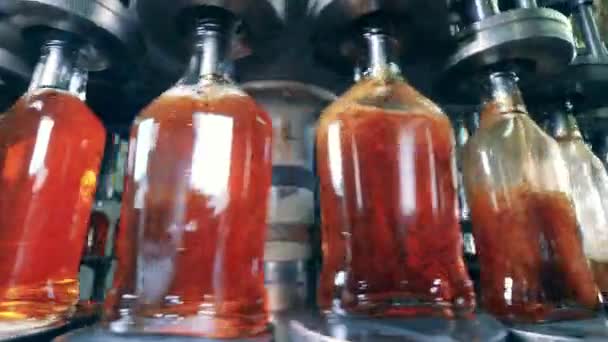 Flaskorna fylls mekaniskt med alkoholhaltig dryck — Stockvideo