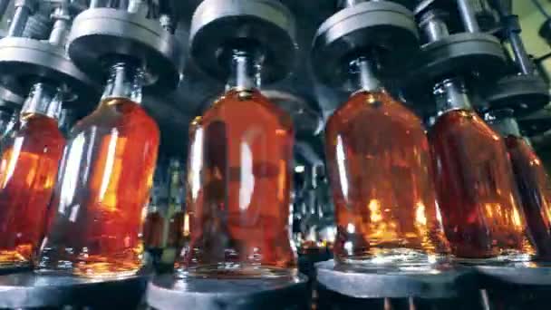 Botellas de vidrio con licor se mueven alrededor de la máquina transportadora — Vídeos de Stock