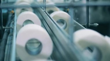 Tuvalet kağıdı ruloları bir kağıt fabrikasında taşıyıcı bant boyunca hareket ediyor.