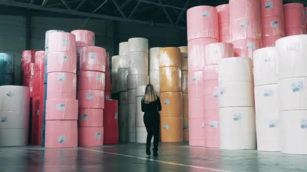 Especialista feminina observando um armazenamento de rolos de papel grandes — Vídeo de Stock