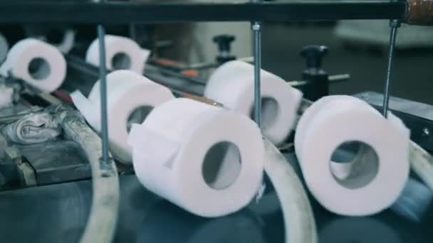 Rolls of toilet paper moving along a conveyor belt at a paper manufacturing plant — Stock Video