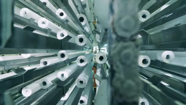 Papierhandtuchrollen in einer Fabrik gelagert — Stockvideo