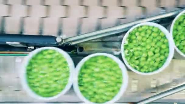 Draufsicht auf Blechdosen mit Erbsen auf dem Werkstransporter — Stockvideo