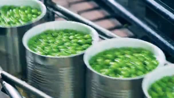 Tin cans filled with peas are moving along the factory conveyor — Stock Video