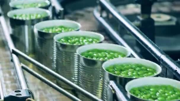 Metallförderer transportiert mit Erbsen gefüllte Blechdosen — Stockvideo