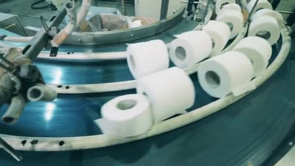 Vista superior de rollos de papel higiénico moviéndose a lo largo del transportador en una fábrica — Vídeos de Stock