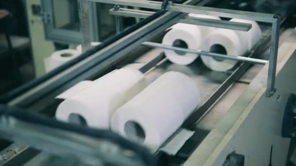 Toiletpapier rollen bewegen in paren op de transportband — Stockvideo