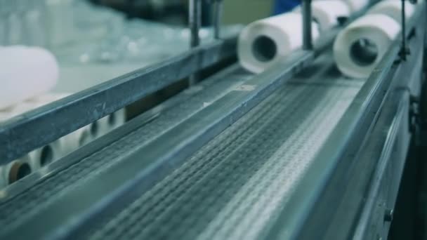 Мелкие бумажные рулоны движутся вдоль конвейерной ленты — стоковое видео
