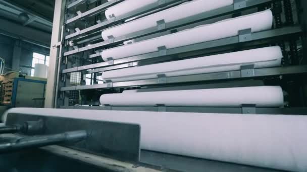 紙工場の特殊機械に積み込まれる大きな紙ロール — ストック動画
