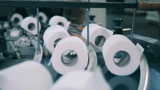 Rolos de papel higiênico se movendo ao longo da correia transportadora curva. Papel higiénico, produção de papel higiénico. — Vídeo de Stock