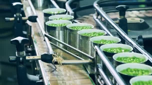Transportador de fábrica com latas cheias de ervilhas verdes. Transportador de fábrica de alimentos, conceito de automação. — Vídeo de Stock