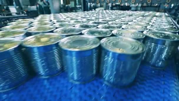 Los lotes de latas selladas se mueven a lo largo de la cinta transportadora. Transportador de fábrica de alimentos, concepto de automatización. — Vídeos de Stock