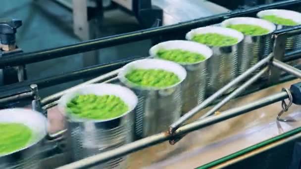 Conveyor machine with tin cans filled with green peas — Stock Video