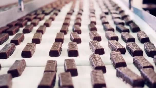 Конвейерная лента с шоколадными батончиками крупным планом — стоковое видео