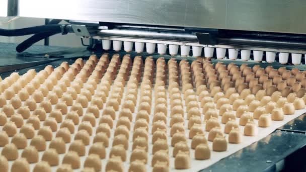 Fabrieksmachines vervaardigen en vervoeren snoep — Stockvideo