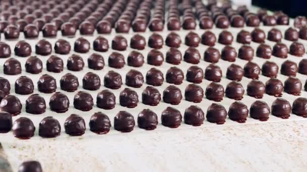 Muitos doces de chocolate estão sendo transportados na fábrica — Vídeo de Stock