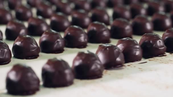 Doces de chocolate são transportados em fileiras — Vídeo de Stock