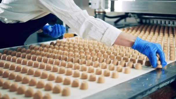 Plant worker is removing sweets from the transporter — Stock Video