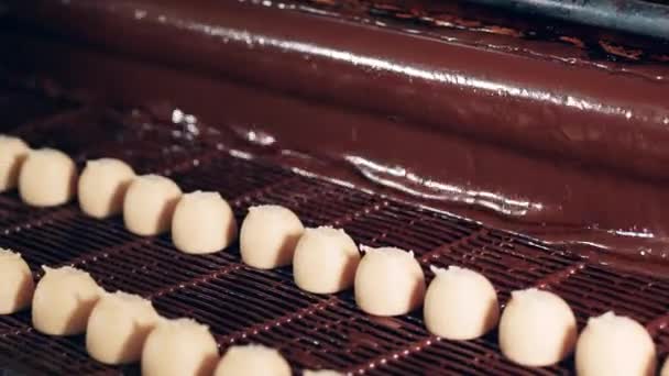 チョコレートはコンベアベルトにお菓子の列を覆っています。 — ストック動画