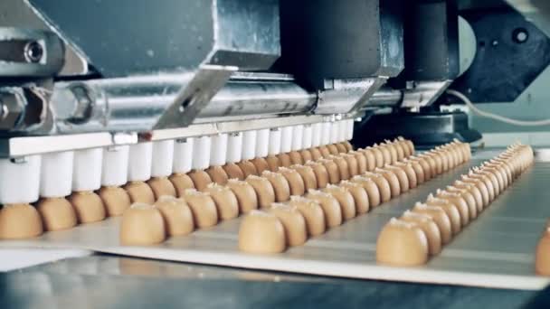 Konfektyrmaskinen producerar godis och transporterar dem. — Stockvideo