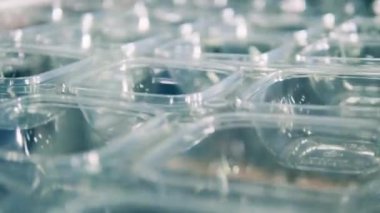 Plastik konteynır üretim hattı. Kapat.