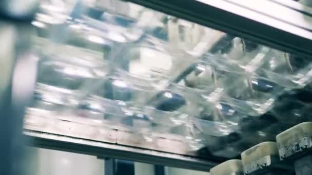 Onderaanzicht van plastic containers die mechanisch worden vervoerd — Stockvideo