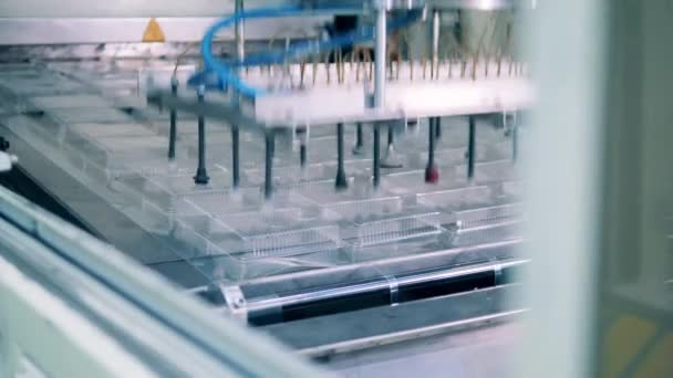 Maquinaria de fábrica está transportando lotes de paquete de plástico — Vídeos de Stock