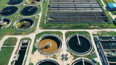 Biyolojik temizlik bitkilerinin kompleksi üst düzeyde filme alınır.