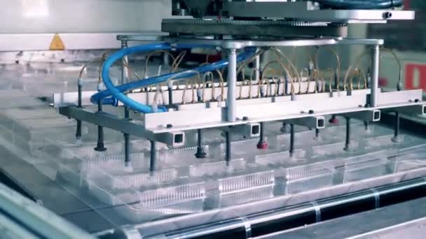 Прозора виробнича лінія пластикових контейнерів — стокове відео