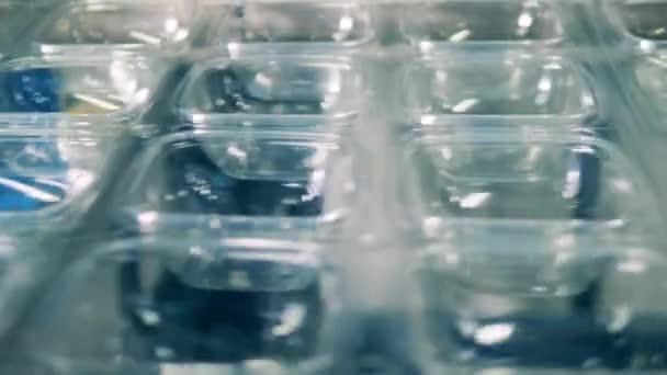 Kunststof productie, polymeer recycling fabriek. Transparante kunststof container productielijn in een close-up — Stockvideo