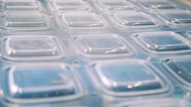 Transparante kunststof deksels die langs de transportband bewegen. Sluit maar af. Kunststofproductie, polymeerrecyclingfabriek. — Stockvideo