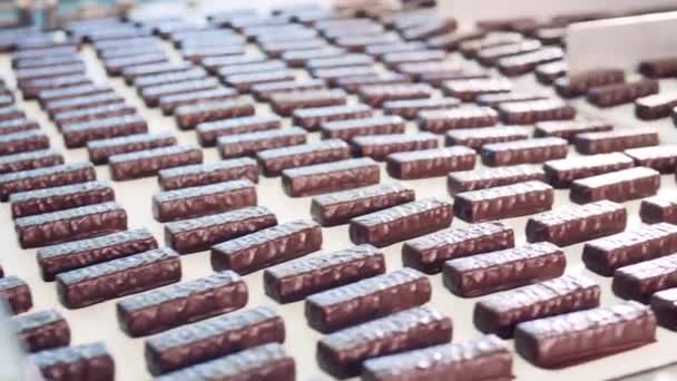 Transport par convoyeur de barres chocolatées fraîchement fabriquées — Video