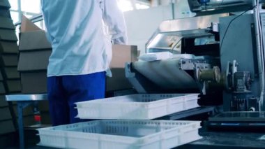 Kadın fabrika işçisi beyaz paketleri kutulara koyuyor.