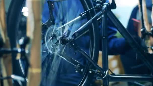 Meccanico provare ruota bicicletta di una bicicletta — Video Stock