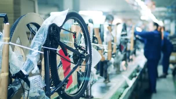 Συσκευασμένα ποδήλατα σε γραμμή παραγωγής εργοστασίου — Αρχείο Βίντεο