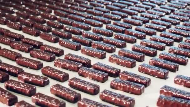 Mnóstwo czekoladowych cukierków na masywnym przenośniku taśmowym — Wideo stockowe